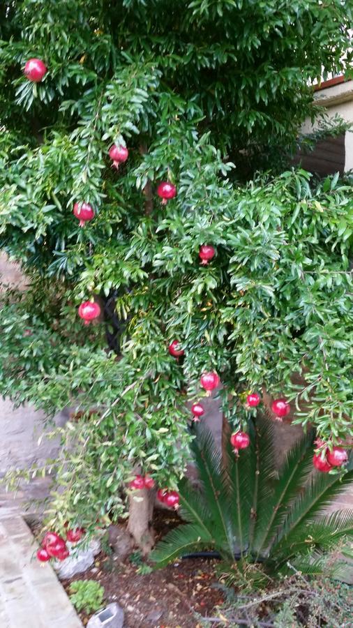 Morrovalle La Maison Jujube מראה חיצוני תמונה