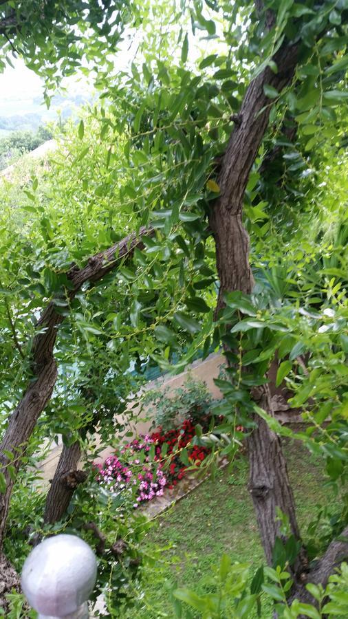 Morrovalle La Maison Jujube מראה חיצוני תמונה